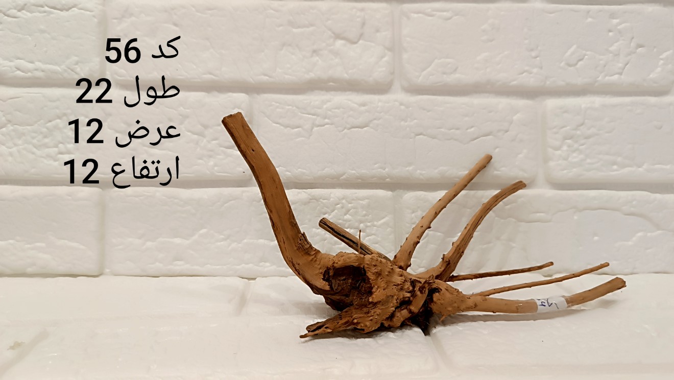 ریشه آبنوس کد 56