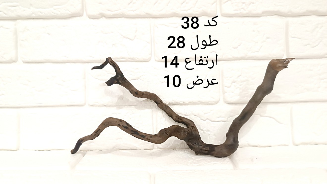 ریشه آبنوس کد 38