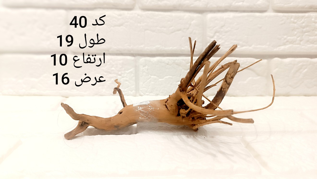 ریشه آبنوس کد 40