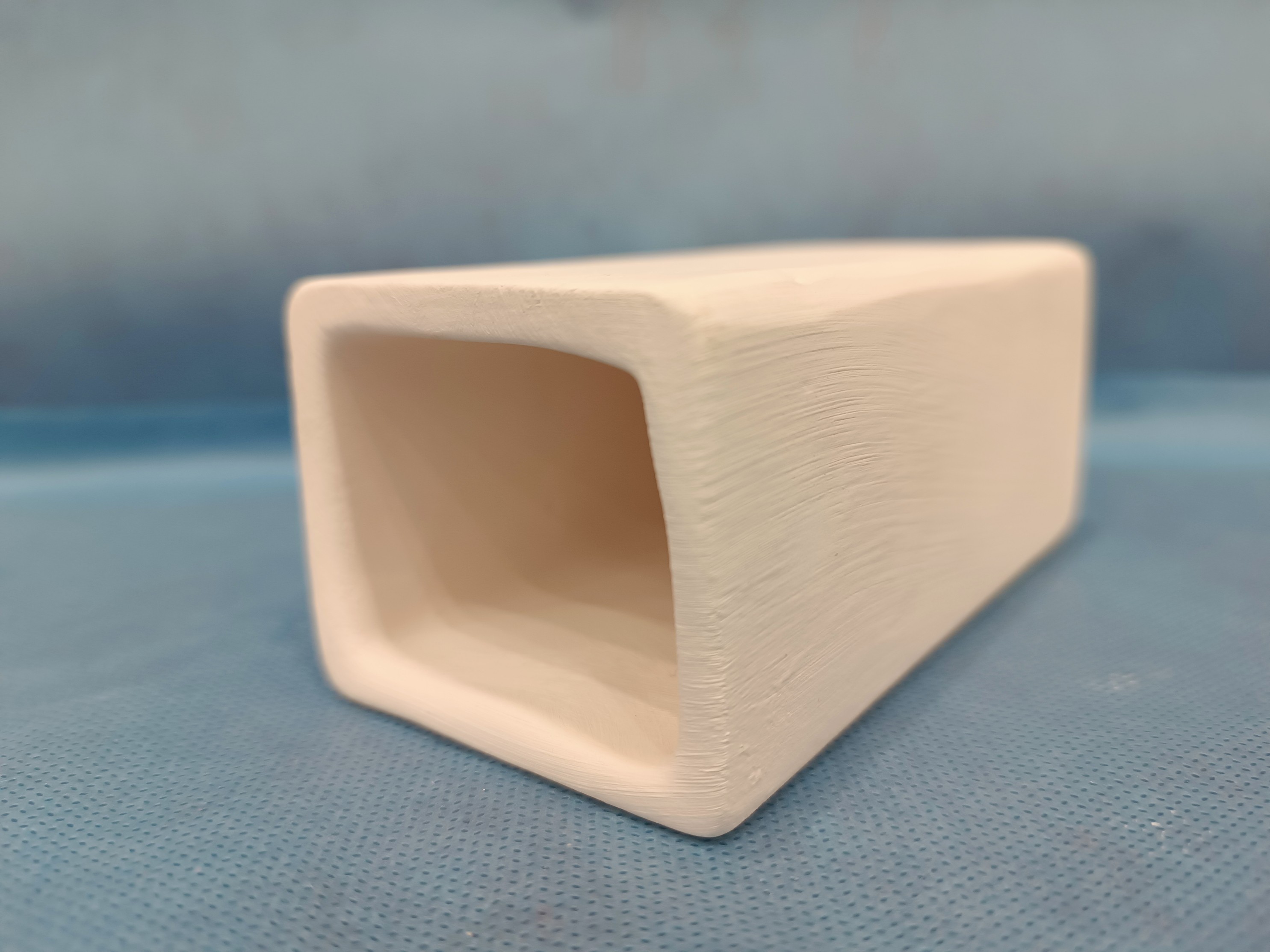 غار پلیکو کت فیش و کف خواران