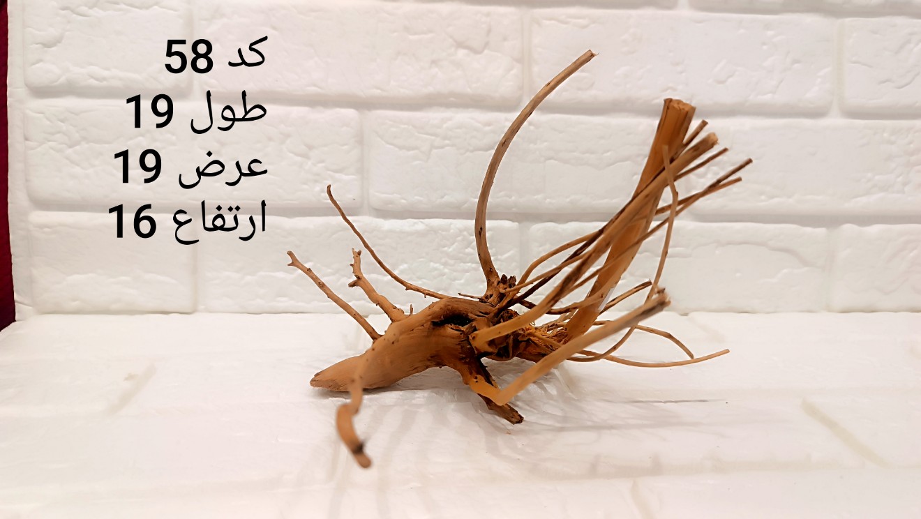ریشه آبنوس کد 58