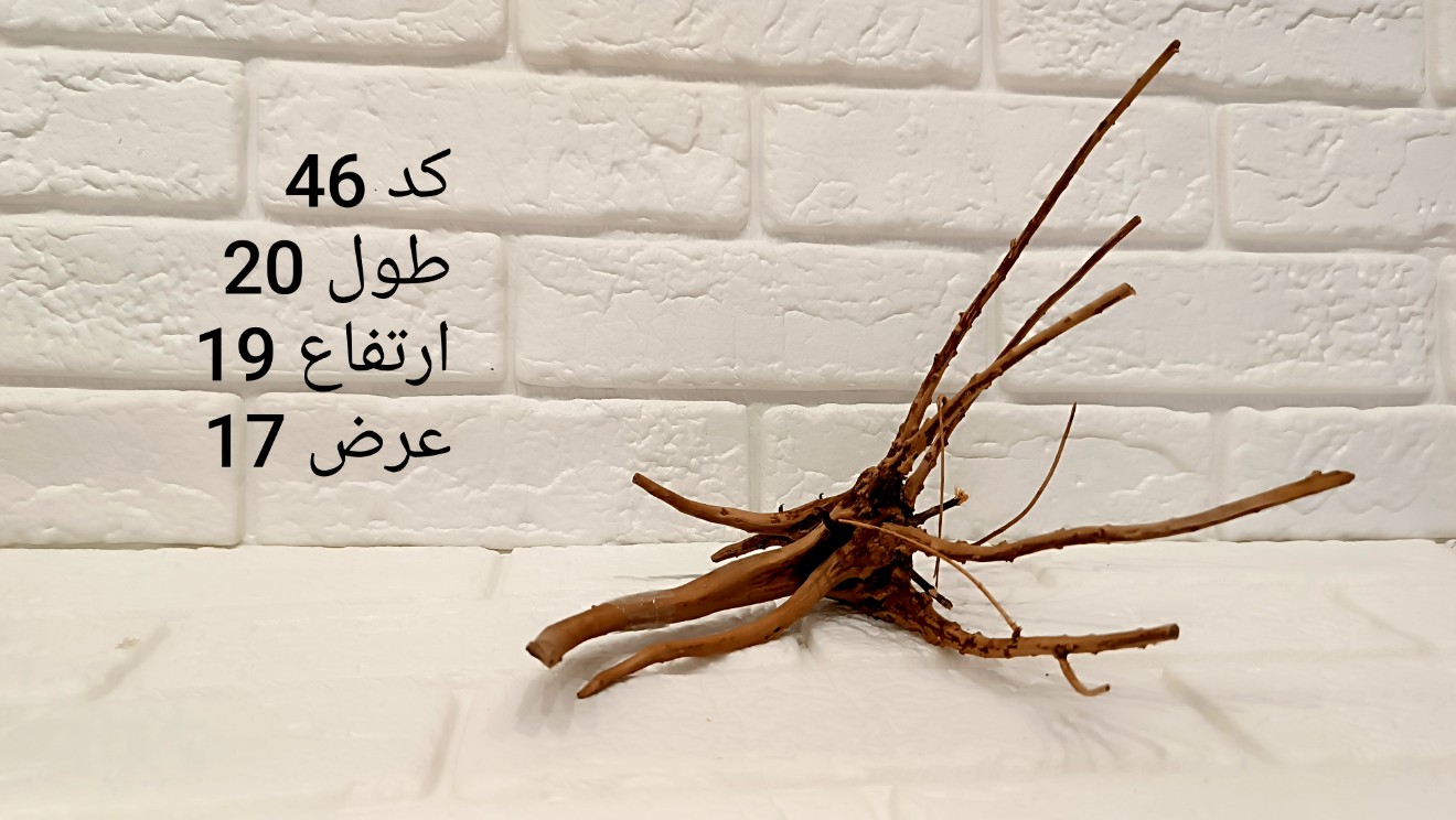 ریشه آبنوس کد 46