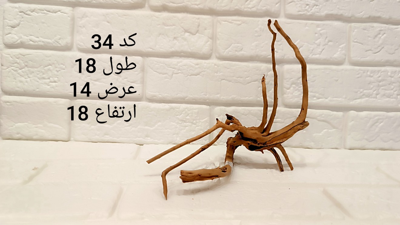 ریشه آبنوس کد 34