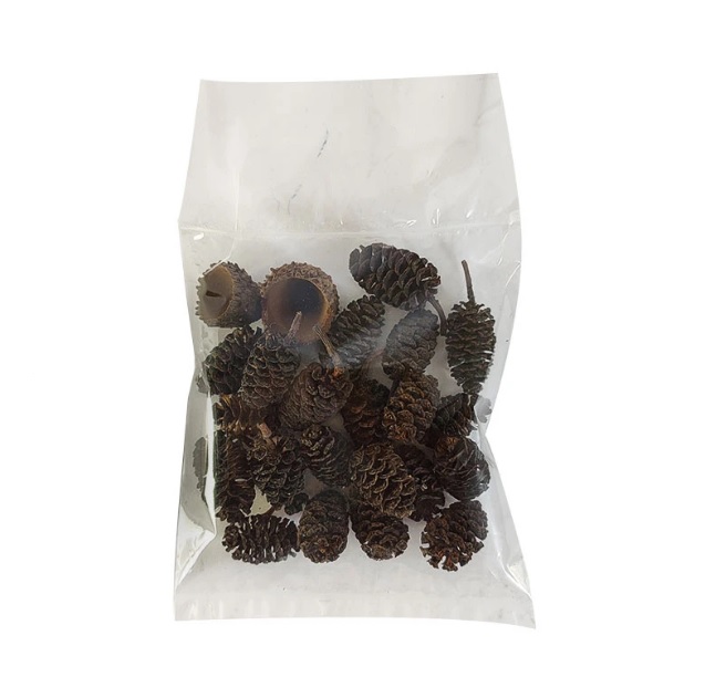 مخروط توسکا آکواریوم