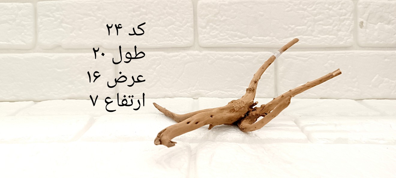 ریشه آبنوس کد ۲۴