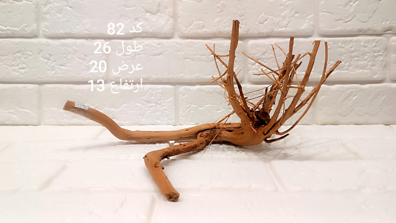 ریشه آبنوس کد 82