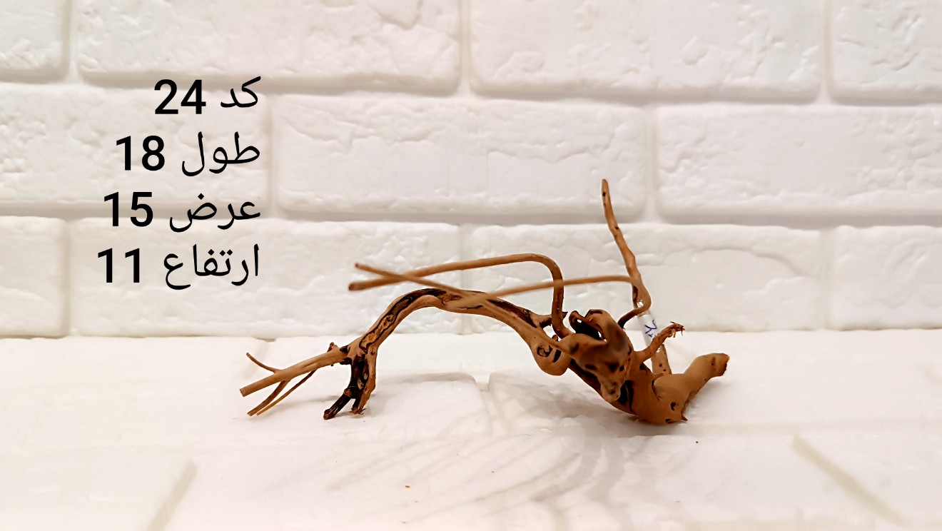 ریشه آبنوس کد 24