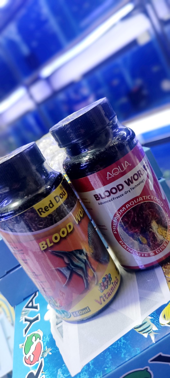 کرم خونی Blood worm